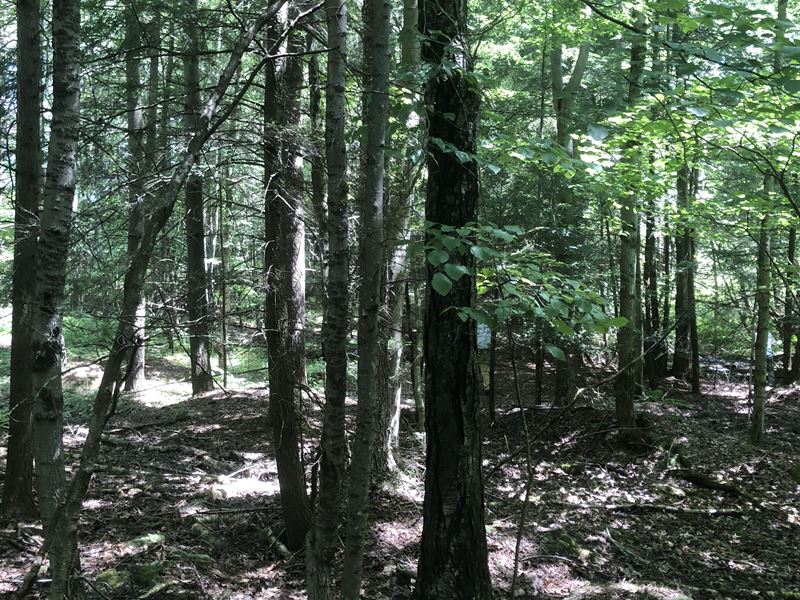 Southern Tier Views : North Norwich : New York County : New York