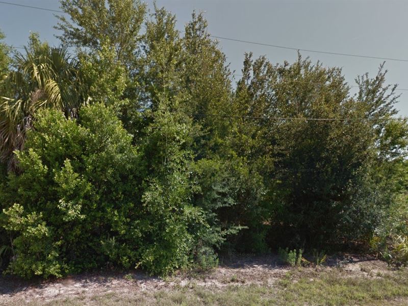 Citrus County, Fl $30,000 Neg : Crystal River : Citrus County : Florida