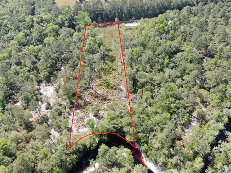 Pretty 1.9 Acre Lot On The Sopchopp : Sopchoppy : Wakulla County : Florida
