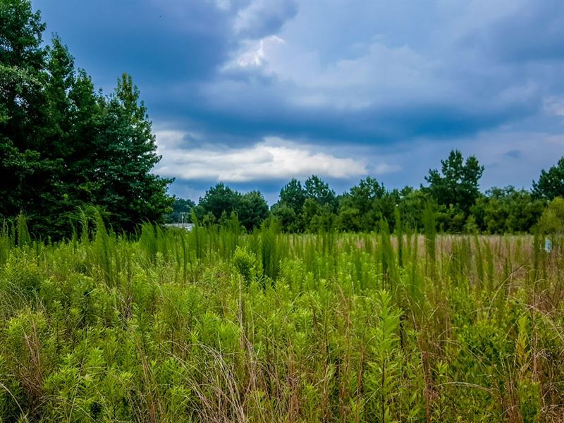 4.94 Acres, Hardwood, Mobiles Okay : Wetumpka : Elmore County : Alabama