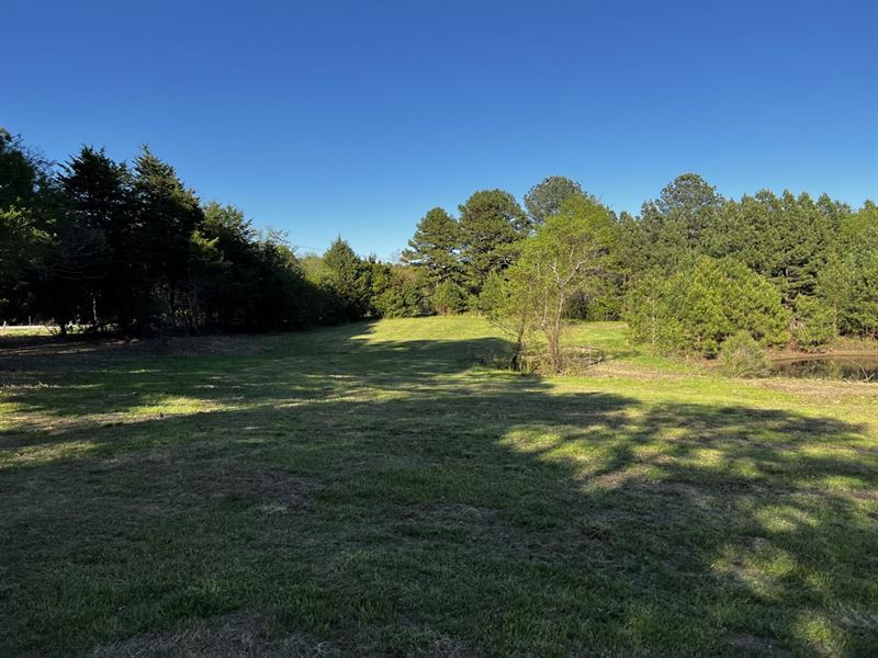 19 and 20 Acre Tracts in Rose Bud : Rose Bud : White County : Arkansas