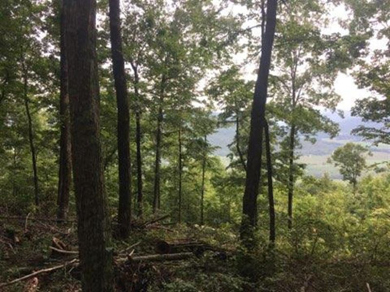 7.04+/- Acres, View Of Tn Mtns : South Pittsburg : Marion County : Tennessee