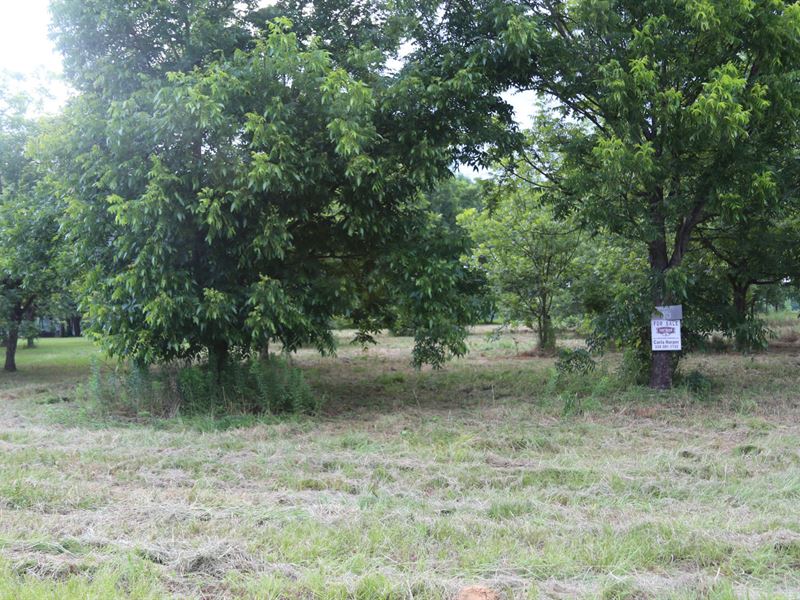 Beautiful Alabama River Property : Lowndesboro : Lowndes County : Alabama