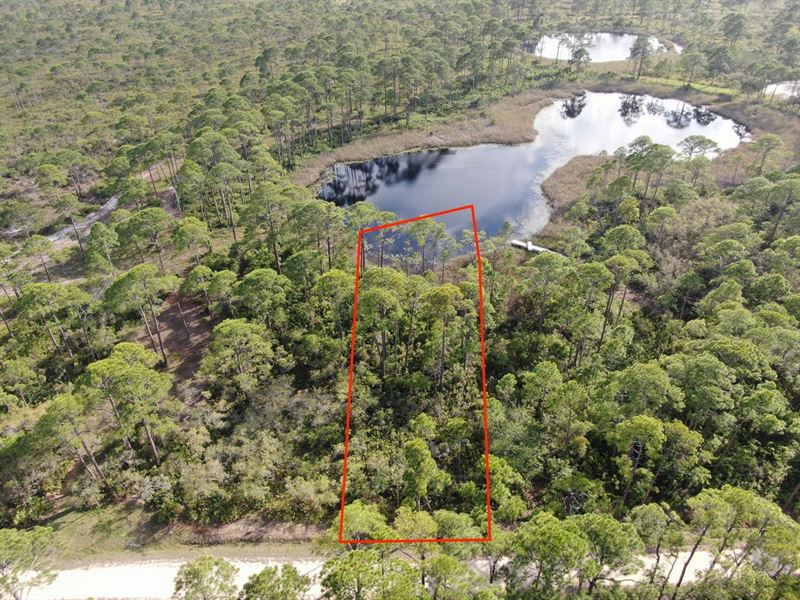 Gorgeous.41 Acre Lot On A Pond : Alligator Point : Franklin County : Florida