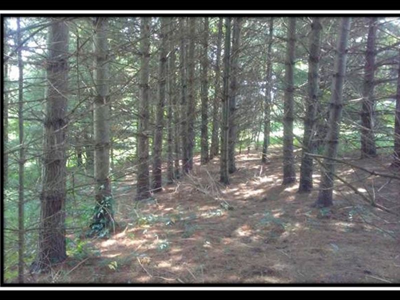 Beautiful Partially Wooded Homesite : McArthur : Vinton County : Ohio