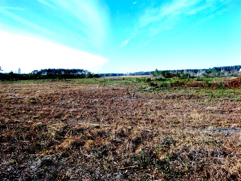 Homesite, Pastureland, More : Odum : Wayne County : Georgia