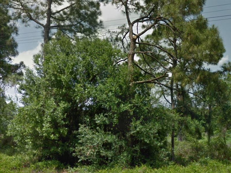 Sarasota County, Fl $120,000 Neg : North Port : Sarasota County : Florida