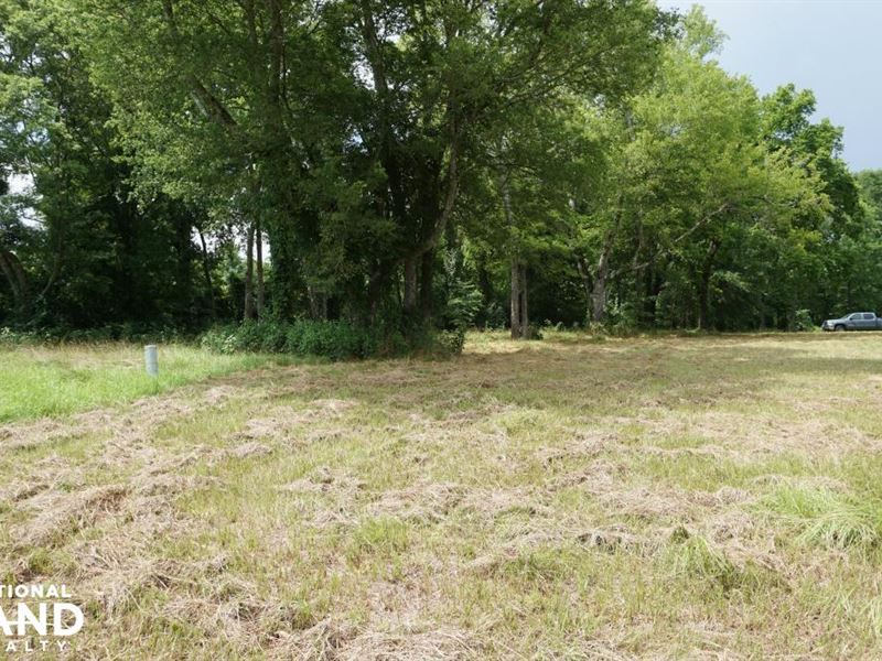 Riverfront Camp or Home Site : Akron : Hale County : Alabama