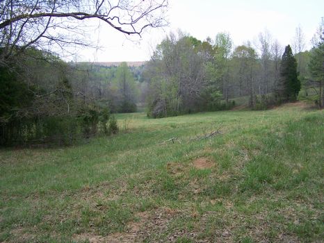 18 Acres Pastureland and Creek : Millerville : Clay County : Alabama