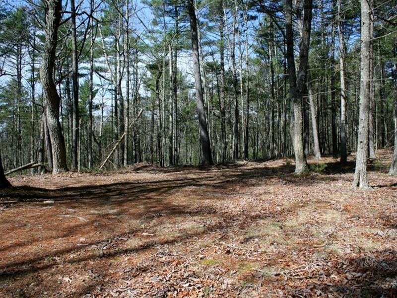 Wooded Lot in Rural Subdivision : Doe Hill : Highland County : Virginia