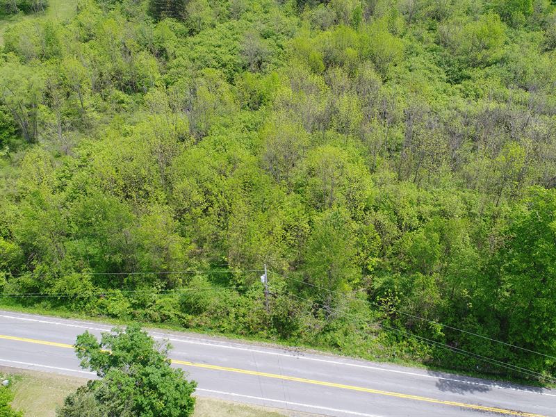 Beautiful Home Site with A View : Manlius : Onondaga County : New York