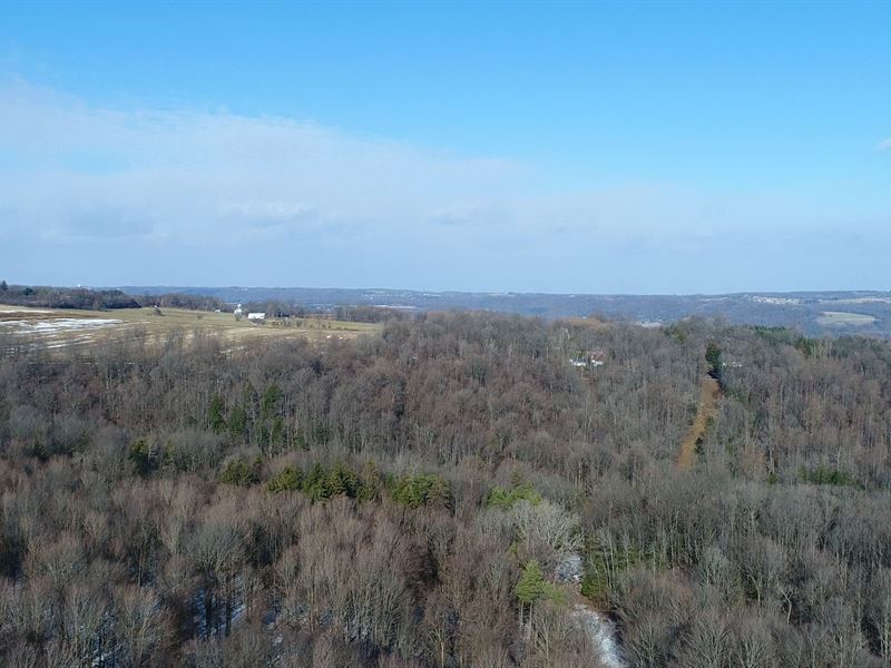 Gently Sloped Building Lot : Syracuse : Onondaga County : New York