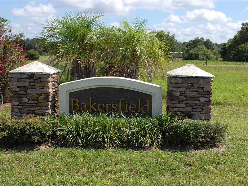 Bakersfield Subdivison : Keystone Heights : Clay County : Florida