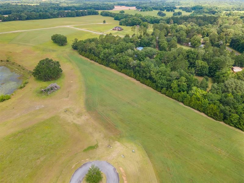 Vacant NW Appaloosa Way, Madison : Madison : Madison County : Florida