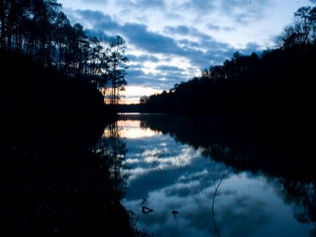 Camp Corinth Cove - Lot 2 : Addison : Winston County : Alabama