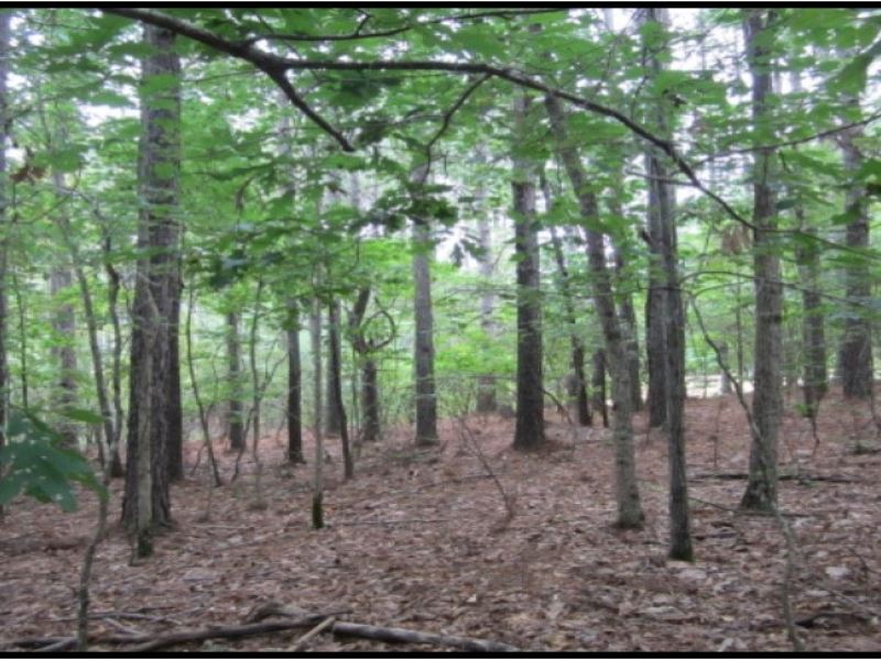 .85 Acre Lot in Tishomingo County : Iuka : Tishomingo County : Mississippi