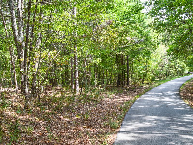 15 Acre Hardwood Tract Near Cowpens : Cowpens : Cherokee County : South Carolina