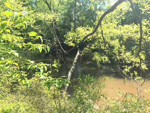 195 Alcovy Reserve Way Lot 16 : Covington : Newton County : Georgia