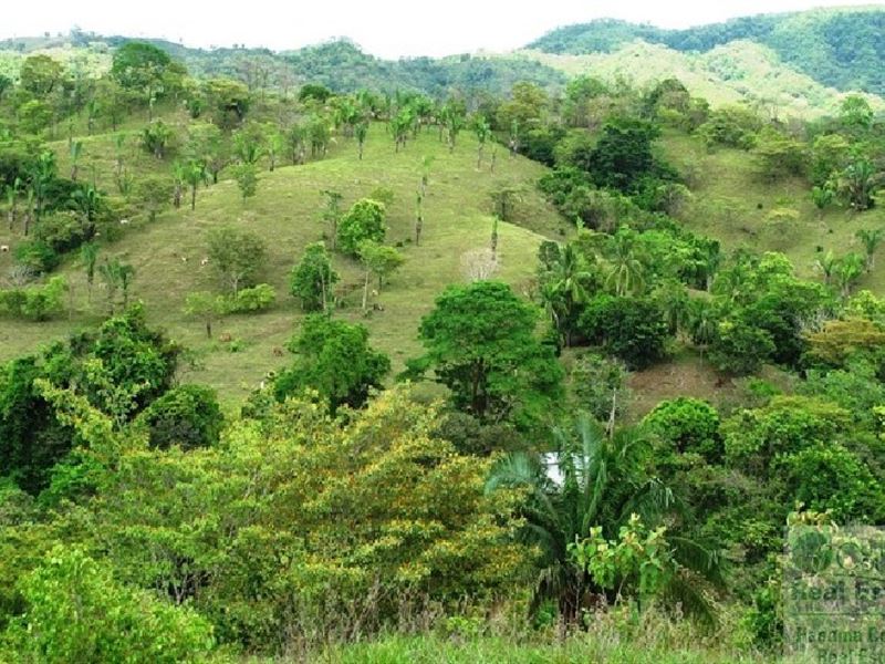 Lot Ocean Ridge Estates, Veraguas : Panama
