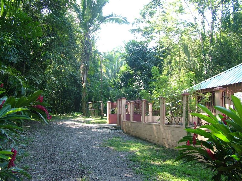 Country Acreage Mountains, Rain : Honduras