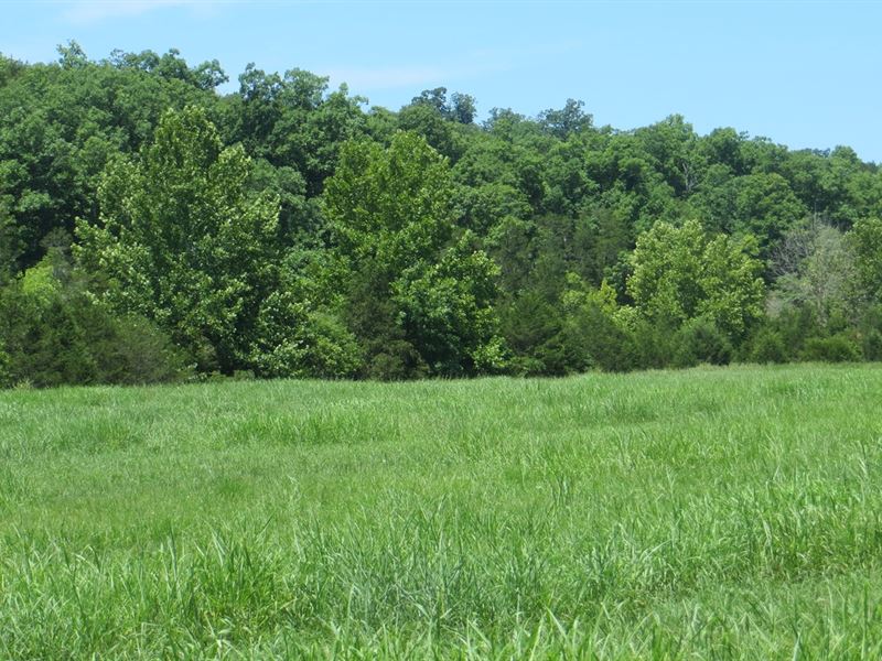 Waterfront Property Northern : Clarkridge : Baxter County : Arkansas
