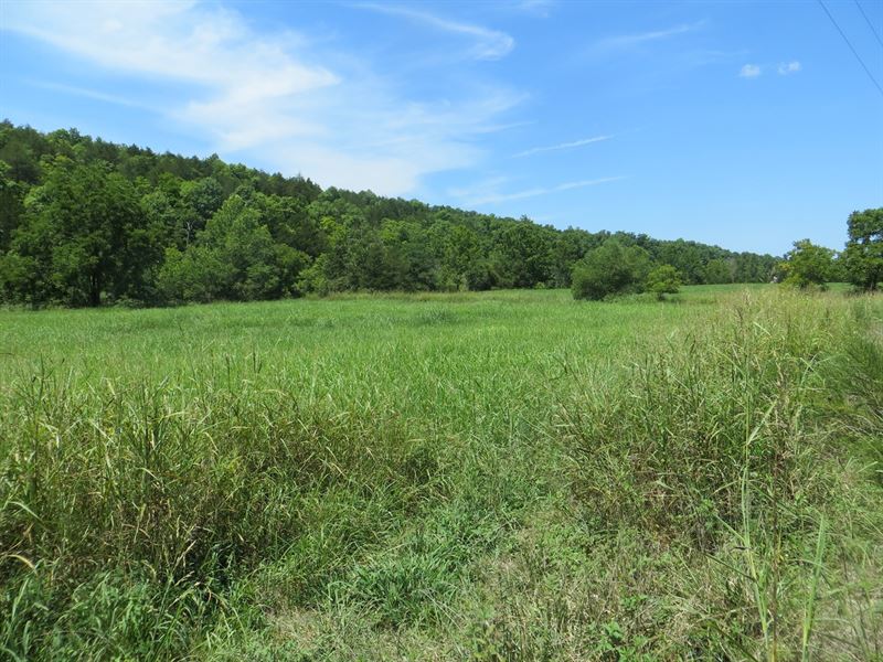 Creek Front Homesite : Clarkridge : Baxter County : Arkansas