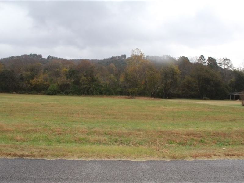 Interior Building Lot White River : Mountain View : Izard County : Arkansas
