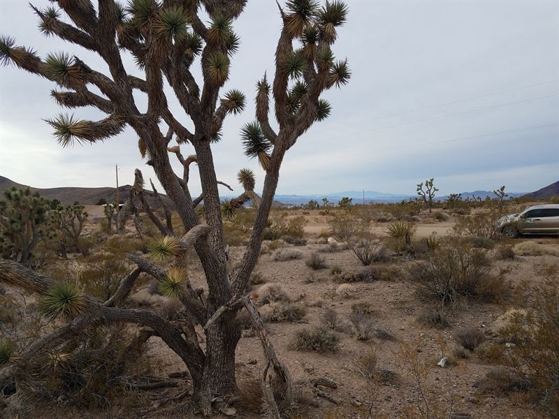 Land for Sale in White Hills, AZ : White Hills : Mohave County : Arizona
