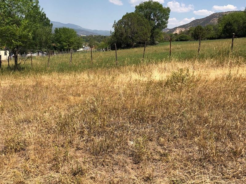 Corner Lot in Collbran Colorado : Collbran : Mesa County : Colorado