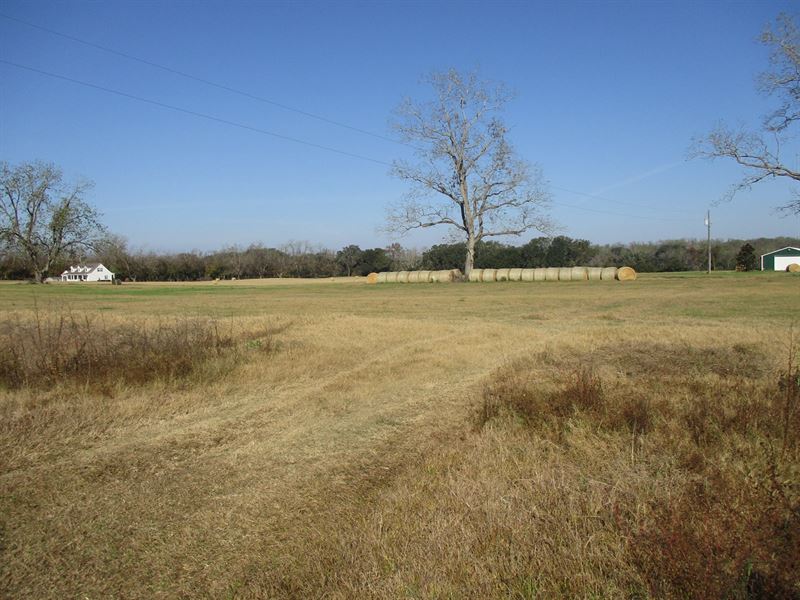 North Florida Lot 10 Acres Land : Monticello : Jefferson County : Florida