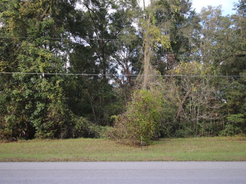 North Central Fanning Springs FL : Trenton : Levy County : Florida