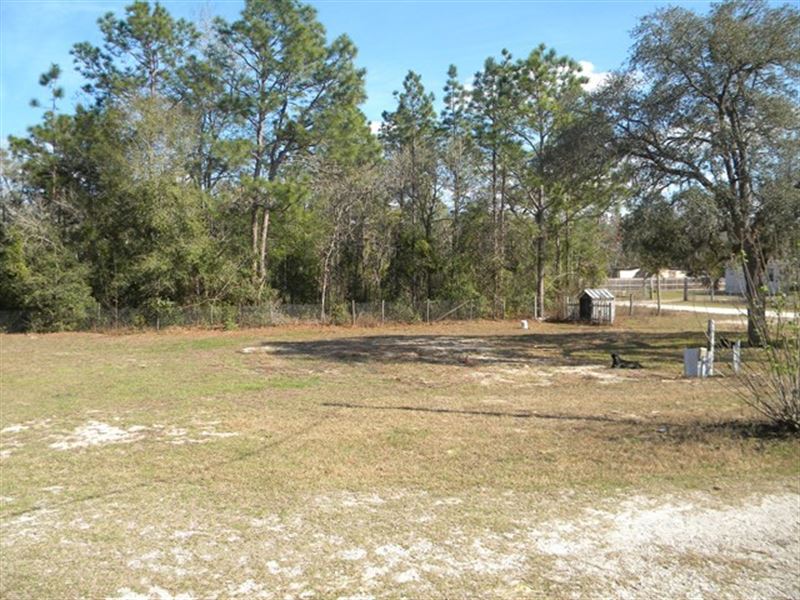 0.63 Acre in Williston, Florida : Williston : Levy County : Florida