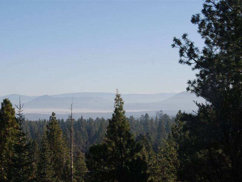 2.28 Acres in Bonanza, OR : Bonanza : Klamath County : Oregon