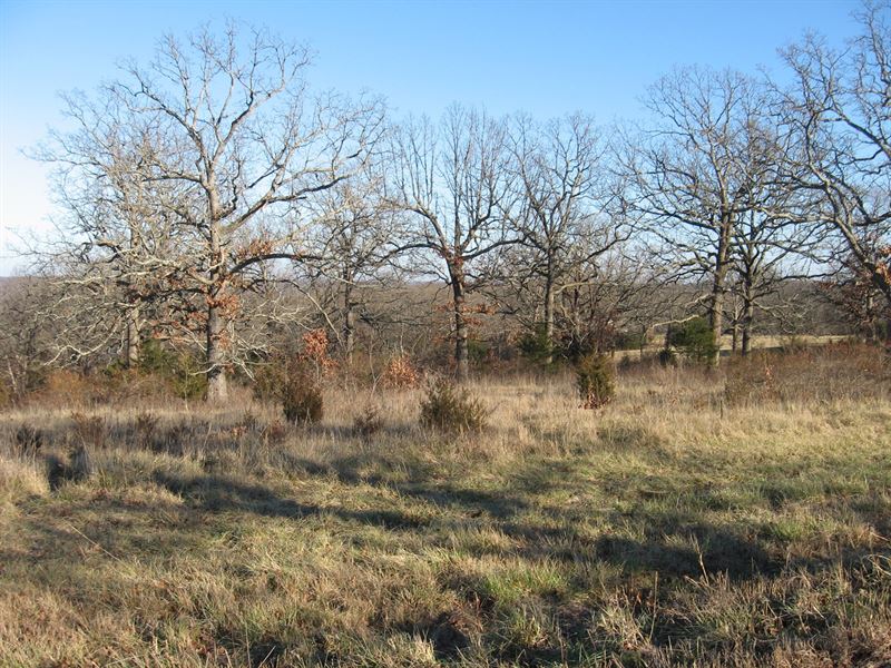 Land Phelps County, Building Site : Rolla : Phelps County : Missouri