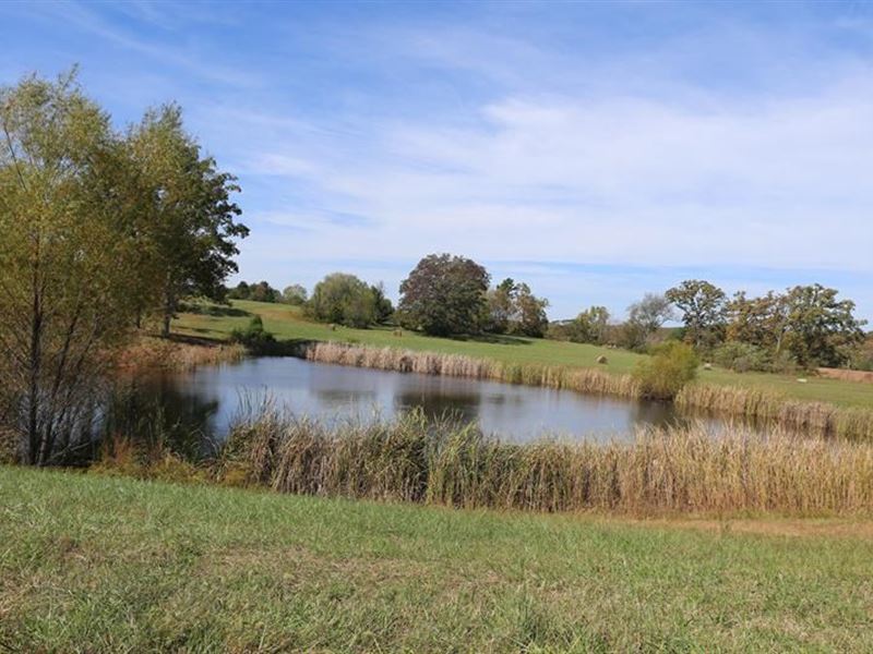 Residential Lots in The MO Ozarks : West Plains : Howell County : Missouri