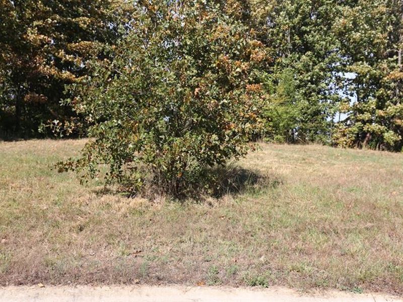 Residential Lots Mo. Ozarks : West Plains : Howell County : Missouri