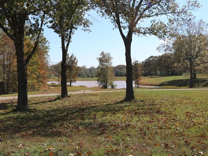 Residential Lots in The MO Ozarks : West Plains : Howell County : Missouri