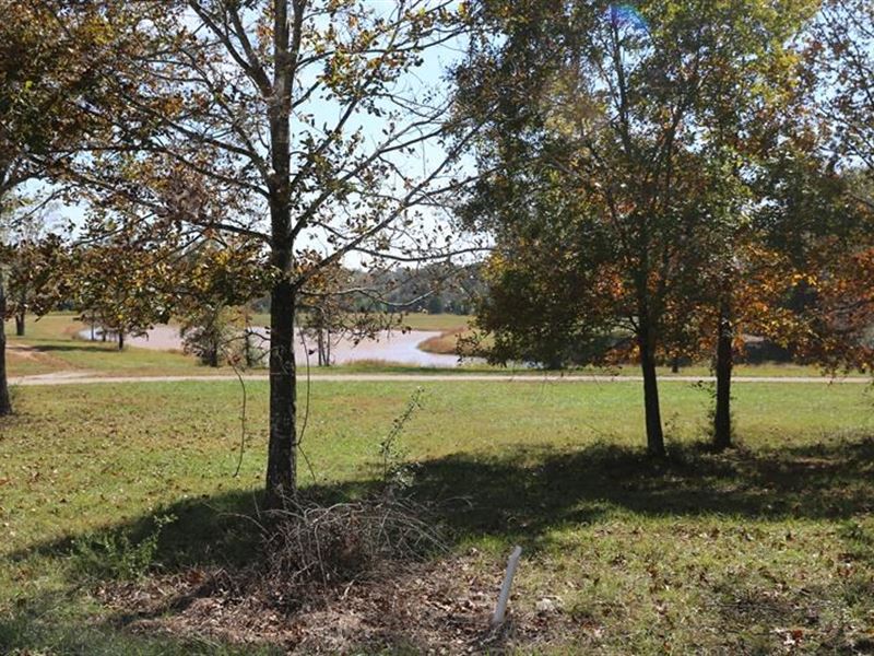 Residential Lots in The MO Ozarks : West Plains : Howell County : Missouri