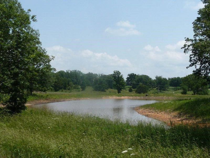 Residential Lots in The MO Ozarks : West Plains : Howell County : Missouri