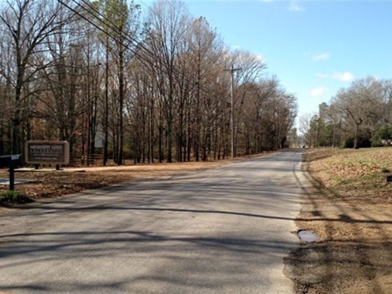 Land, Blackjack Rd, Starkville, MS : Starkville : Oktibbeha County : Mississippi
