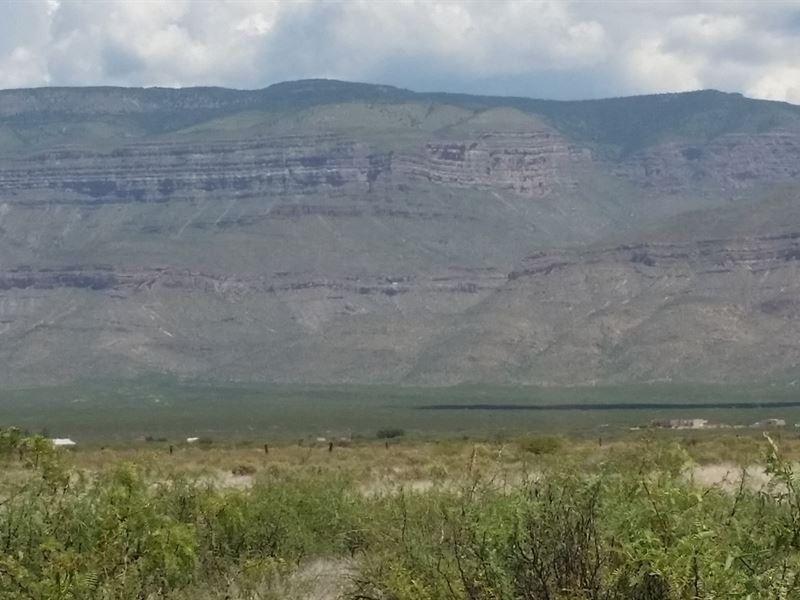Desert Land : Alamogordo : Otero County : New Mexico