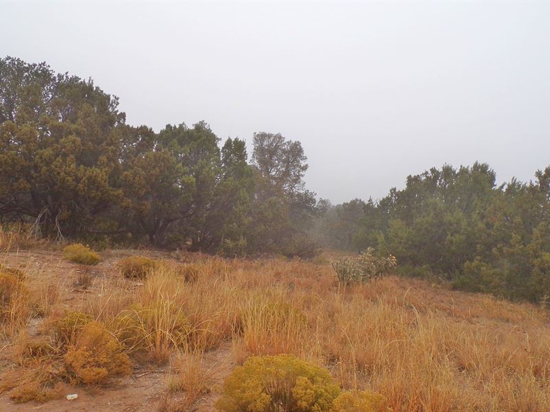 1.867 Acre Lot Town Edgewood NM : Edgewood : Santa Fe County : New Mexico