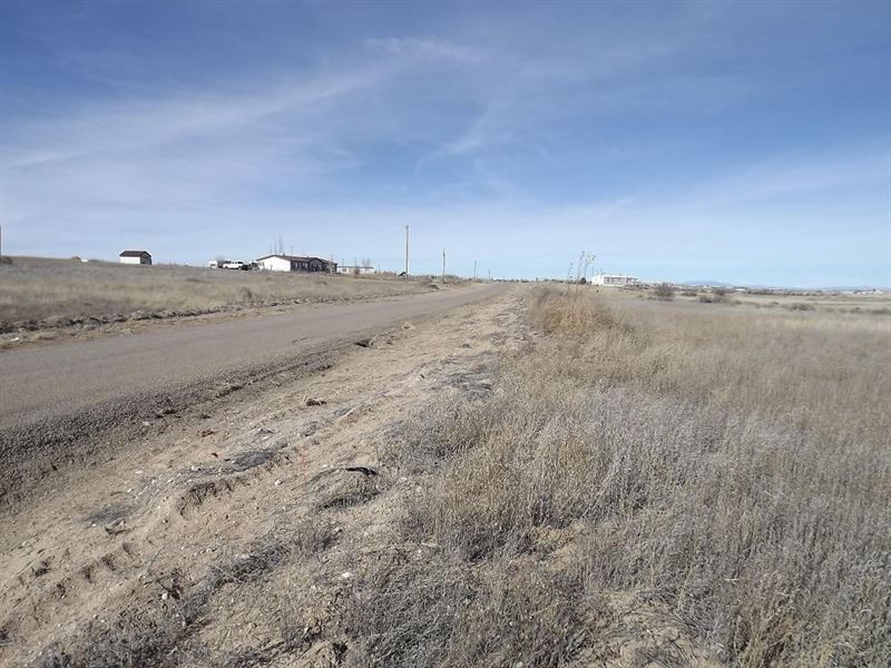 Country Acreage Moriarty New Mexico : Moriarty : Torrance County : New Mexico