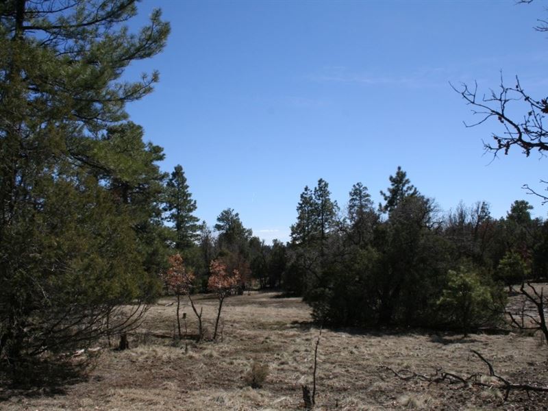 Land Lake Northern NM Great : Rutheron : Rio Arriba County : New Mexico