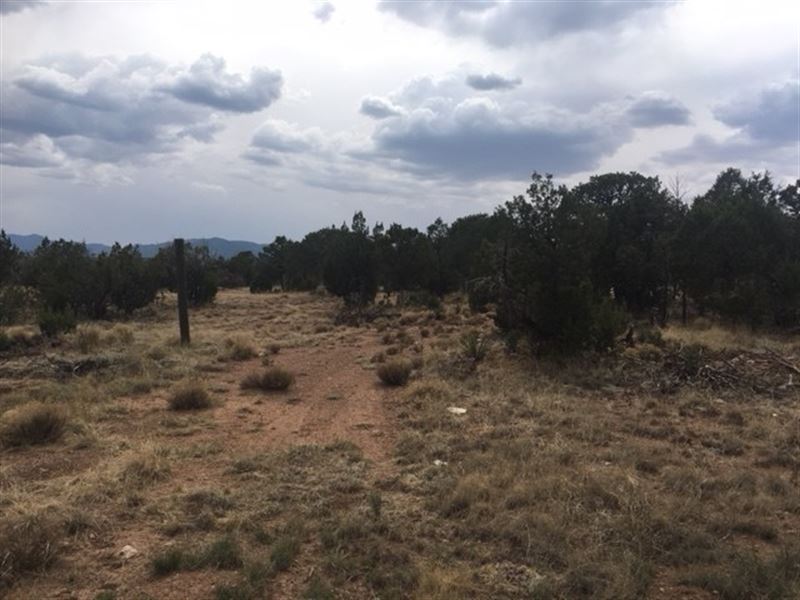 Wooded Lot Central New Mexico Home : Tajique : Torrance County : New Mexico