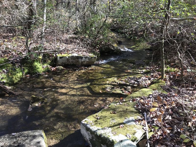 8.57 Acres, Wooded, Gently Rolling : Pikeville : Bledsoe County : Tennessee