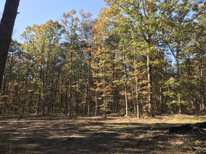 6.73 Acres, Road Frontage, Wooded : Pikeville : Bledsoe County : Tennessee