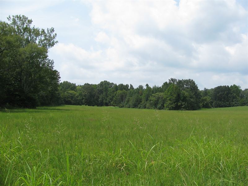 Land On Hwy in Adamsville, TN : Adamsville : McNairy County : Tennessee