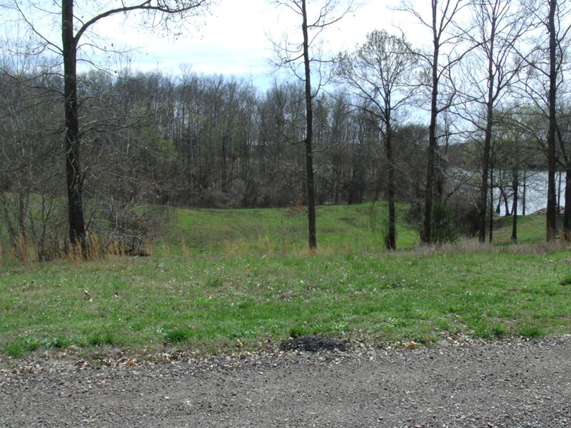 TN River View Building Lot Gated : Bath Springs : Decatur County : Tennessee
