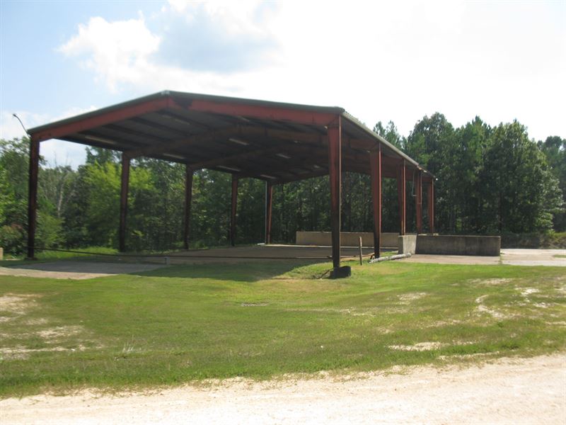 Lewis County, Hohenwald, TN 11.74 : Hohenwald : Lewis County : Tennessee